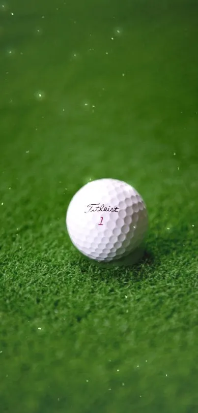 Golf ball on lush green grass wallpaper.