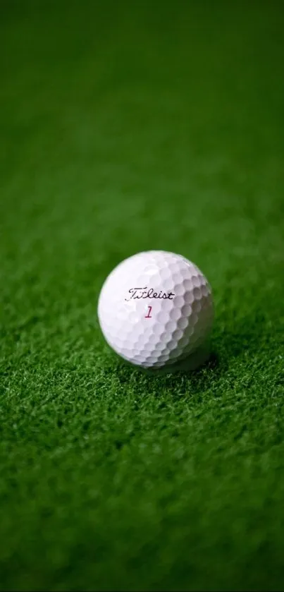 A white golf ball resting on lush green grass