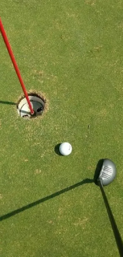 Close-up view of a golf hole with club and ball on a green field.