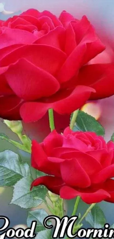 Red roses with 'Good Morning' text on a floral background.