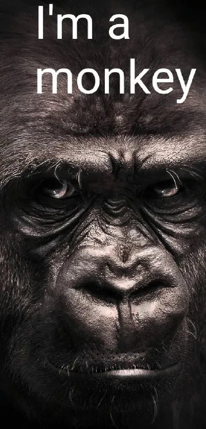 Close-up of a gorilla's face with intense expression and dark background.