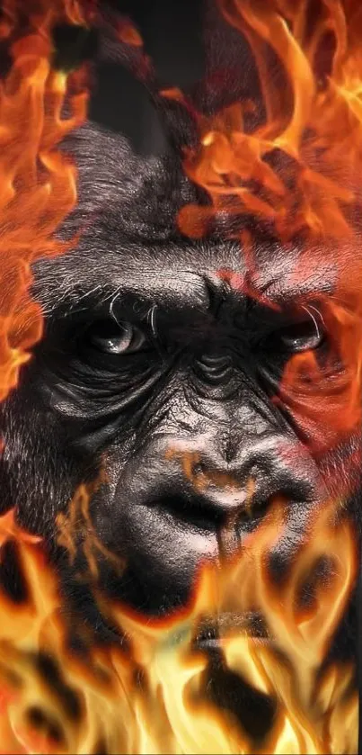 Gorilla with flames background mobile wallpaper.