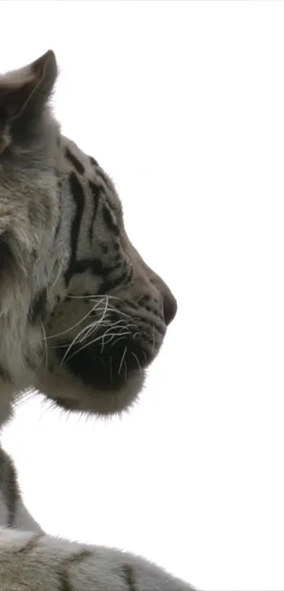 Gory Animal Carnivore Live Wallpaper
