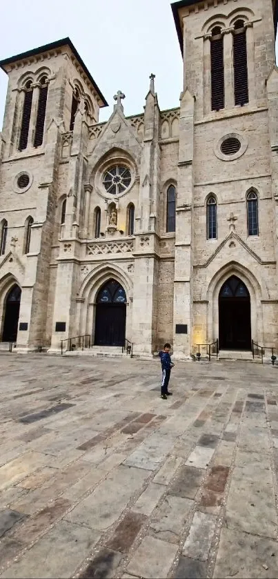 Majestic gothic cathedral facade in beige hues.