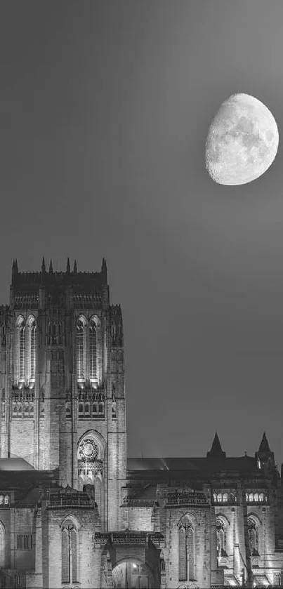 Monochrome image of a gothic cathedral under a shining moon.