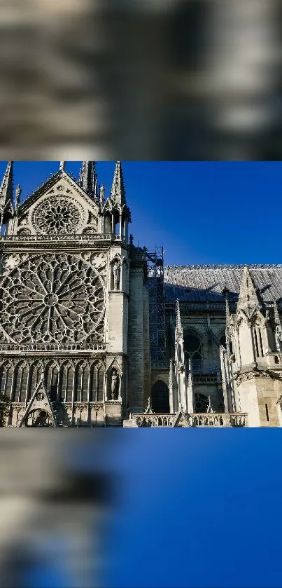 Gothic cathedral under a vibrant blue sky with intricate architectural details.