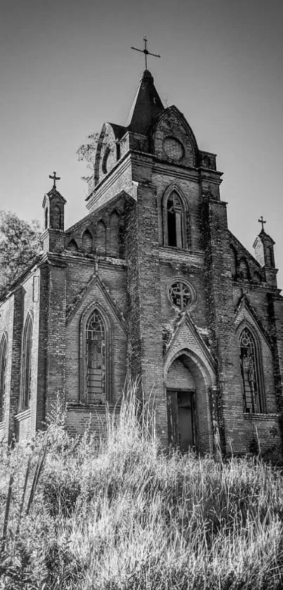 Black and white Gothic church architecture wallpaper.