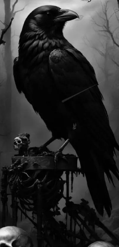 Gothic raven perched in dark forest.