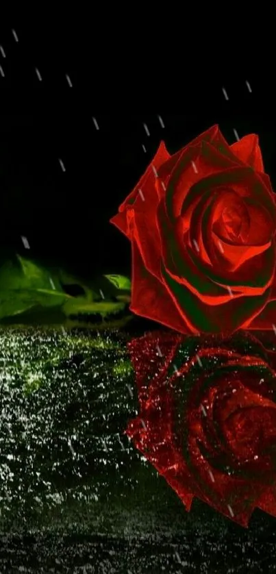 Red rose reflection on dark silver surface with gothic theme.