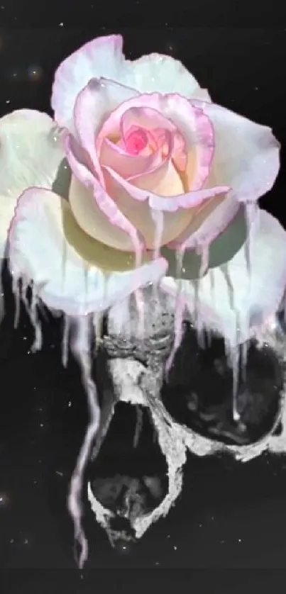 Gothic rose and skull mobile wallpaper with dark artistic elements.