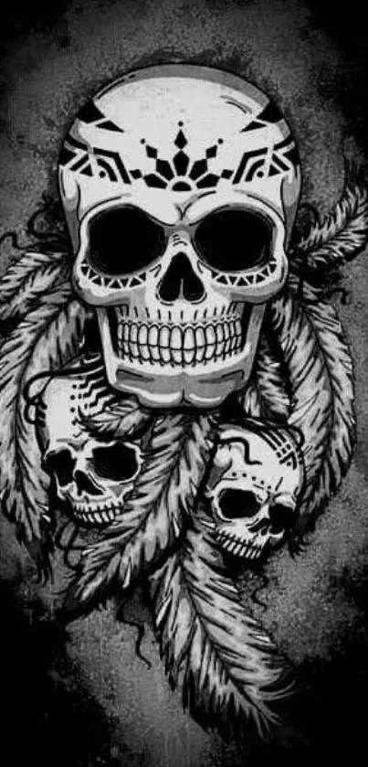 Gothic skull and feathers on dark background.