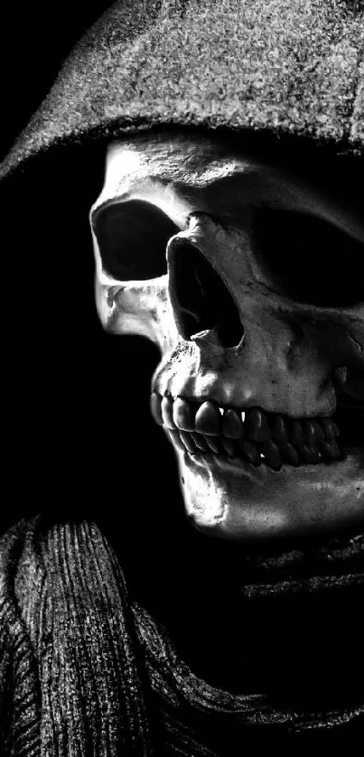 Intricate gothic skull with hood in monochrome shadow.