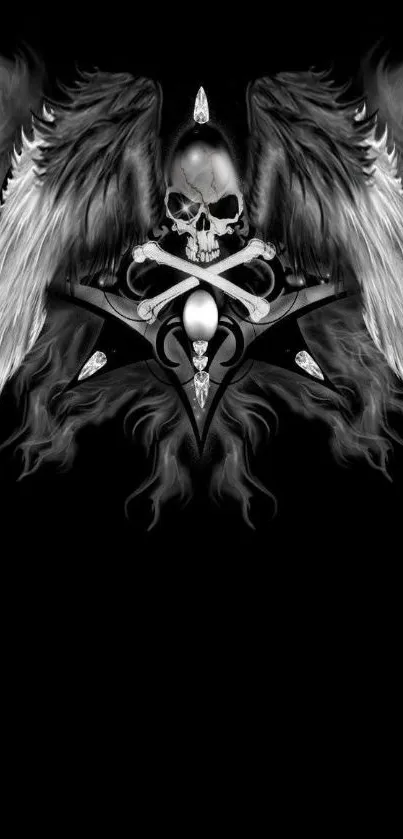 Gothic skull with wings on a dark background wallpaper.