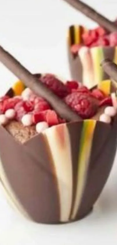 Artistic chocolate dessert with raspberry topping.