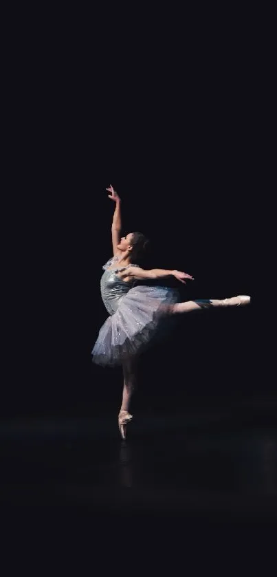 Ballet dancer in an elegant pose on a dimly lit stage.