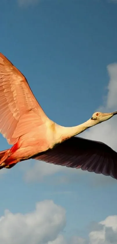 Pink bird flying in blue sky mobile wallpaper.