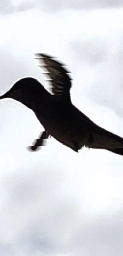 Hummingbird silhouette with cloudy sky background.