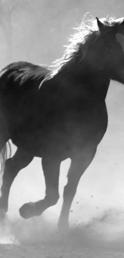 Grayscale wallpaper of a black horse in motion.