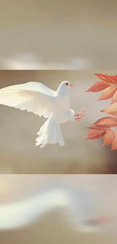 White dove surrounded by autumn leaves in a peaceful setting.