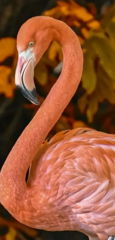 Elegant pink flamingo with blurred foliage background.