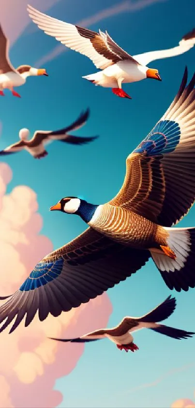 Birds soaring in a blue sky with clouds, creating a serene wallpaper.