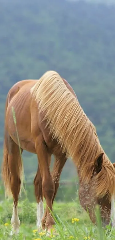 A chestnut horse grazes in a green meadow with mountains in the background.