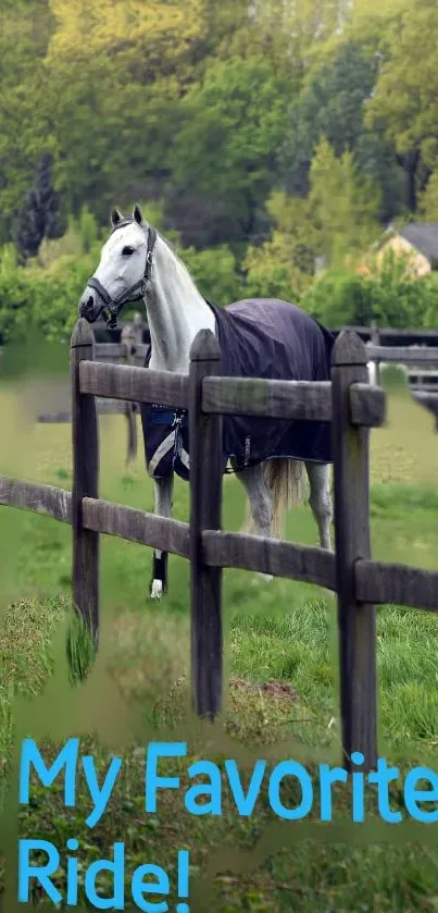 Wallpaper of a horse in a green pasture with wooden fence and trees.