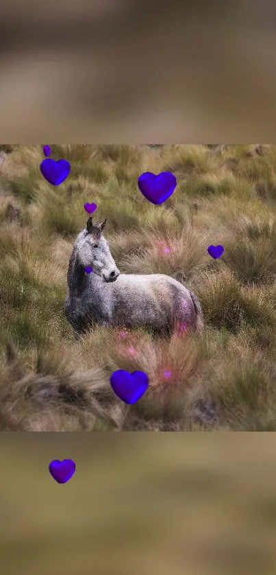 Horse standing in a field with purple hearts.