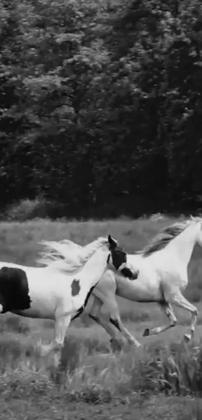 Two horses galloping in a black and white landscape.