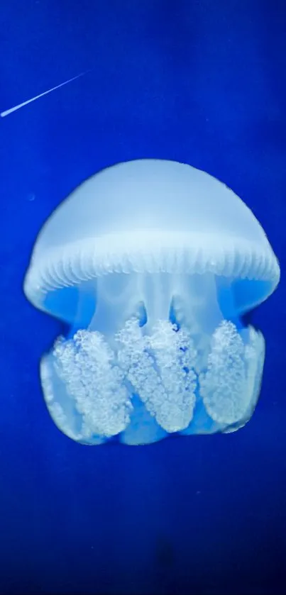 Luminous jellyfish glides gracefully in a deep blue ocean background.