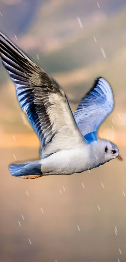 A seagull gracefully flying with a blurred background.