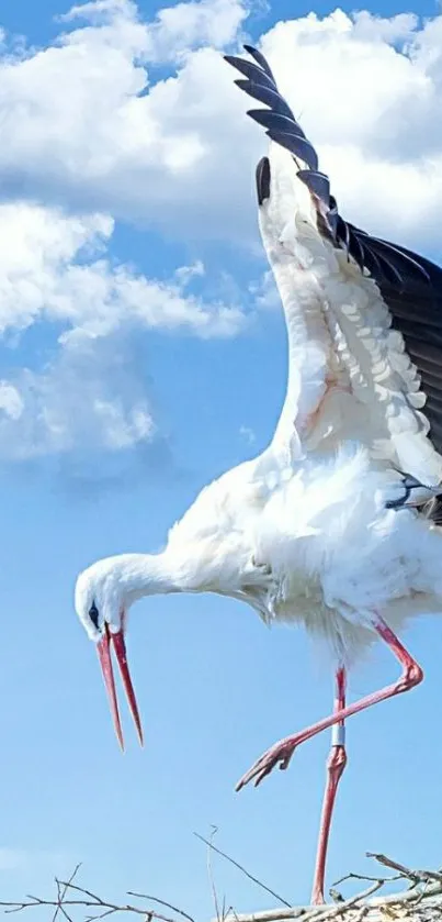 Stork standing on nest against blue sky.