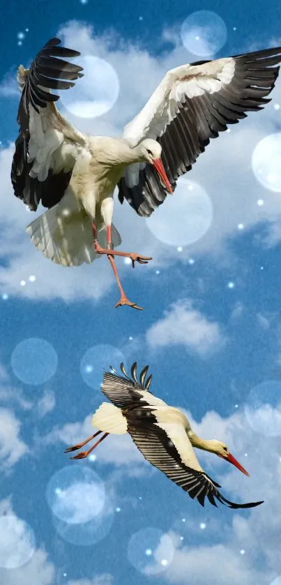 Two storks gracefully flying in a blue sky with clouds and bokeh lights.