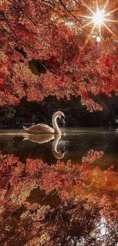 Swan gracefully gliding on autumn lake with vibrant foliage.