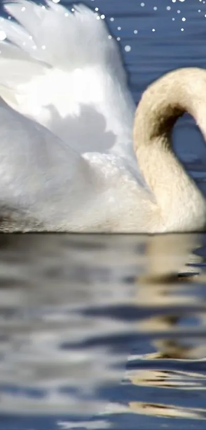 Elegant white swan glides on sparkling blue water.