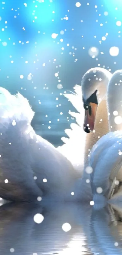 A pair of swans glides gracefully across a shimmering blue lake.