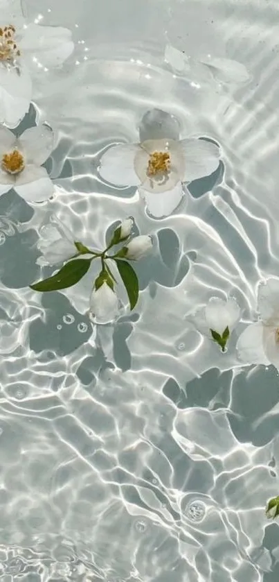 Floating white flowers on shimmering water.