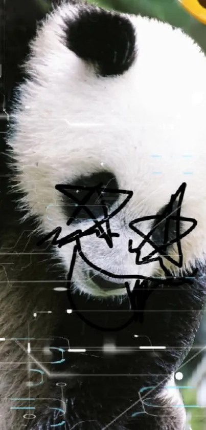 Panda with graffiti art on a digital wallpaper.