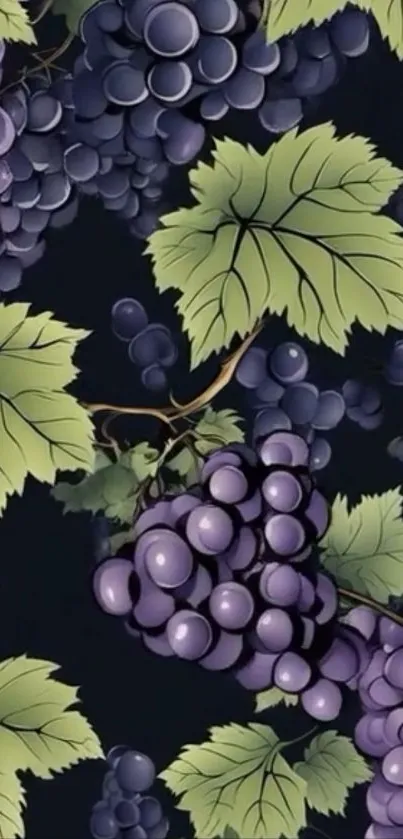 Illustrated grape vine with leaves on a dark backdrop.