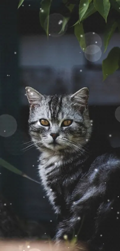 Gray cat sitting in a lush, mysterious garden.