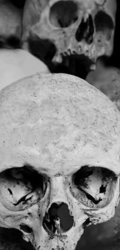 Grayscale skulls wallpaper for mobile in black and white.