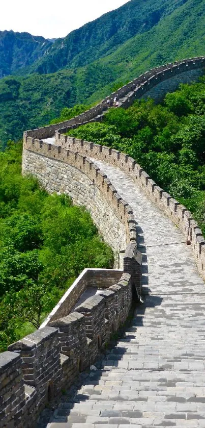 Great Wall of China with lush green surroundings on a sunny day.