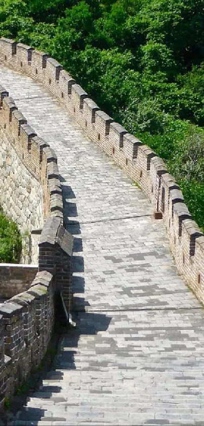 Great Wall path with lush green backdrop.