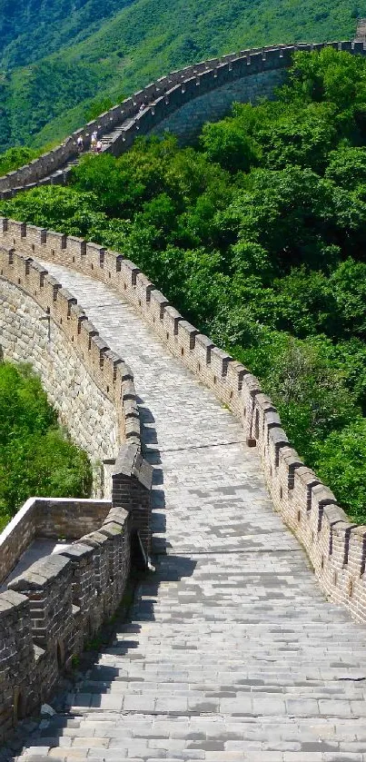 Serene Great Wall path amidst lush green landscape.