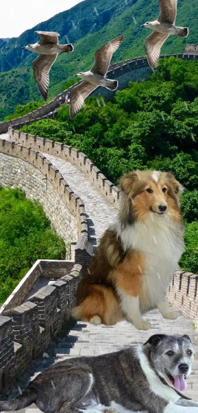 Great Wall of China with dogs and birds, vibrant nature.