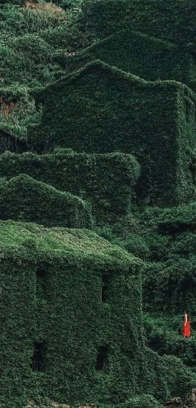 Abandoned village covered in green foliage with a hint of mystery.