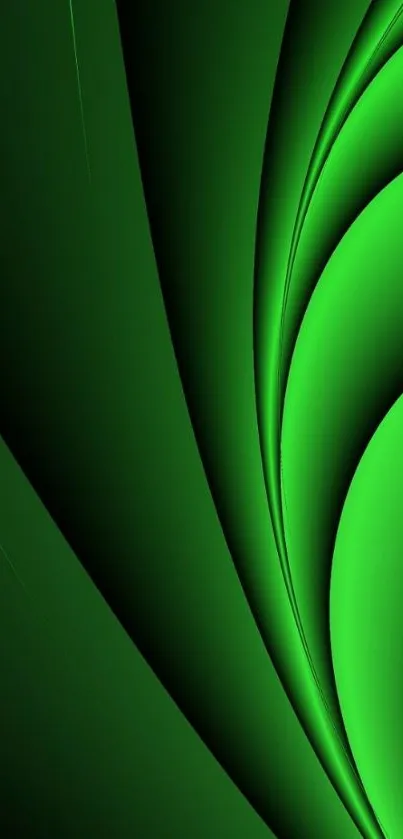 Vibrant green abstract wallpaper with smooth curves.