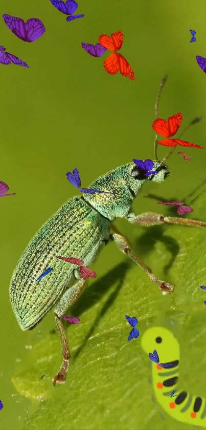 Green beetle with butterflies on a leaf wallpaper.