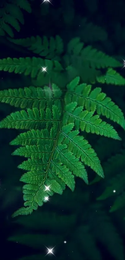 Green Botany Branch Live Wallpaper