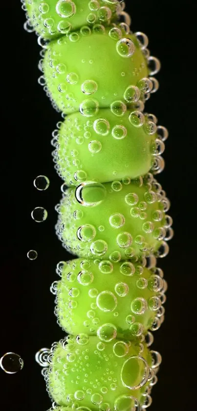 Bright green bubbles on a stem with a dark backdrop.